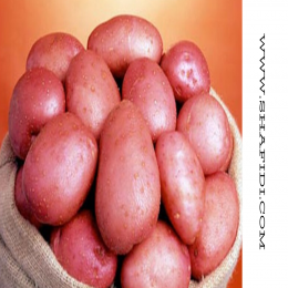SBJEI-FRESH RED POTATO